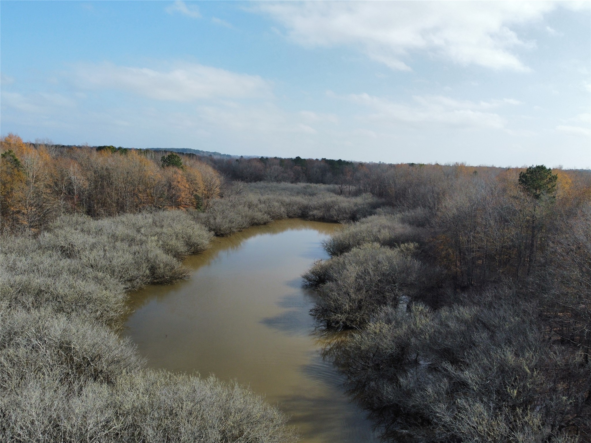 a view of a lake in middle of forest