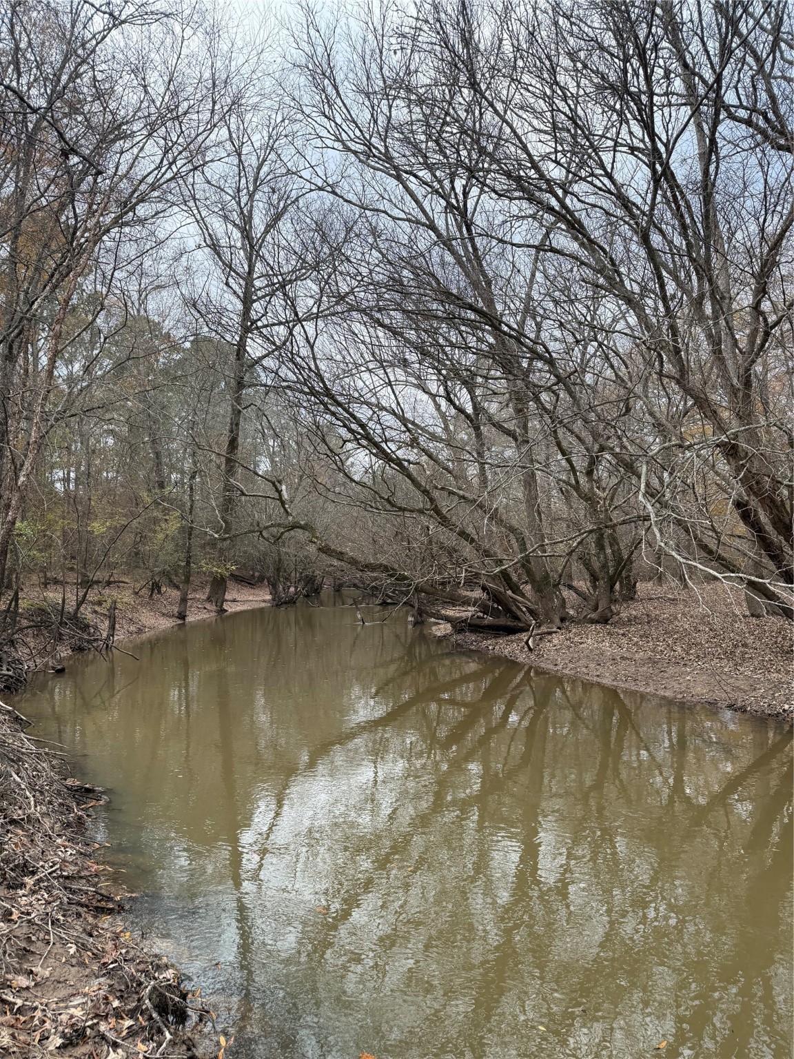 7525 East State Highway East Gilmer, TX 75645 - Photo 11 of 19 a view of lake with a yard