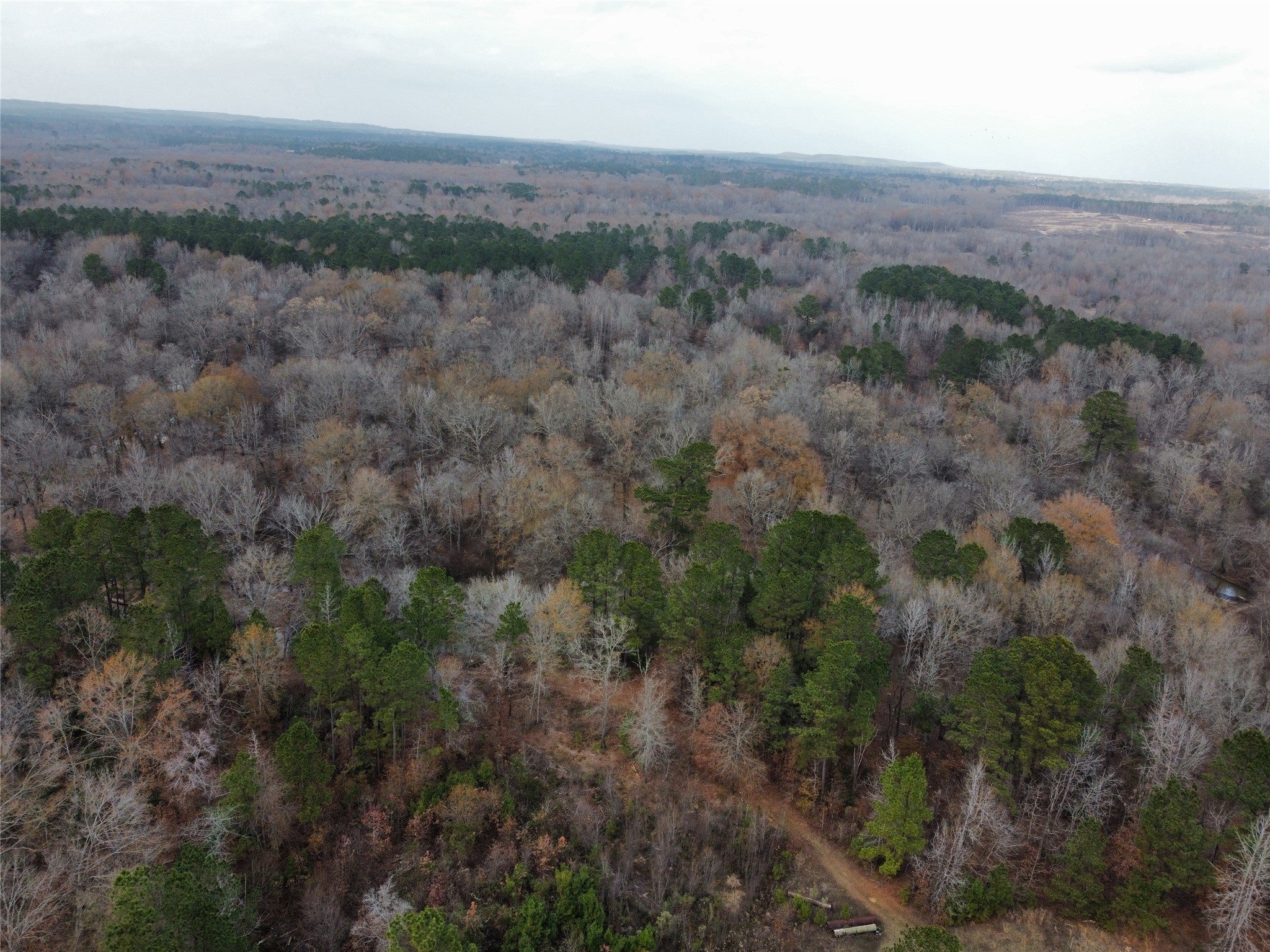 7525 East State Highway East Gilmer, TX 75645 - Photo 12 of 19 an aerial view of forest