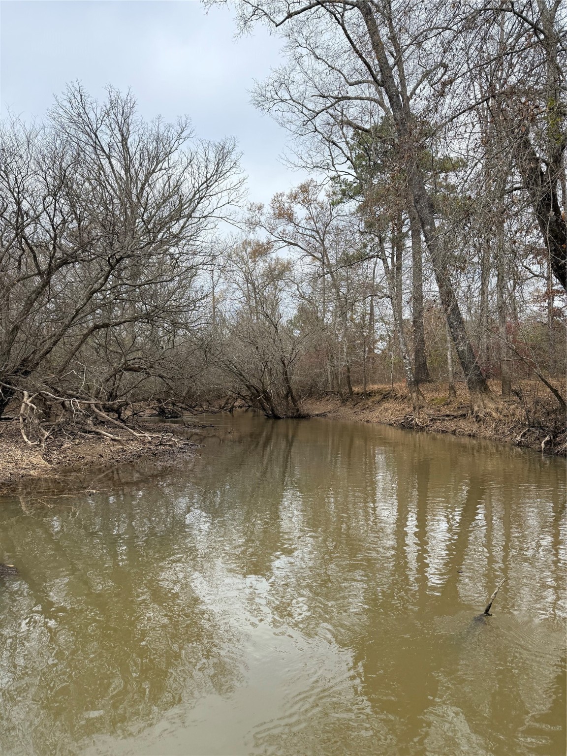 7525 East State Highway East Gilmer, TX 75645 - Photo 14 of 19 a view of lake