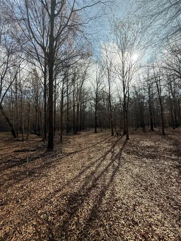 a view of a city with lush green forest
