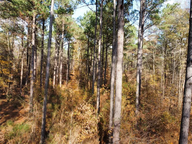 a view of a city with lush green forest