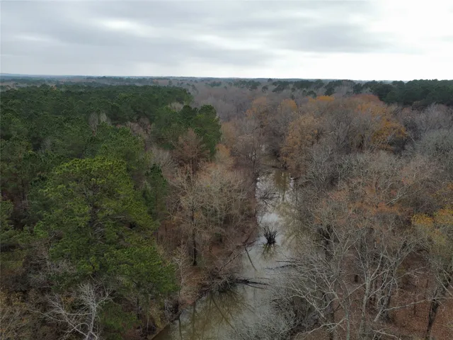 a view of a backyard with trees