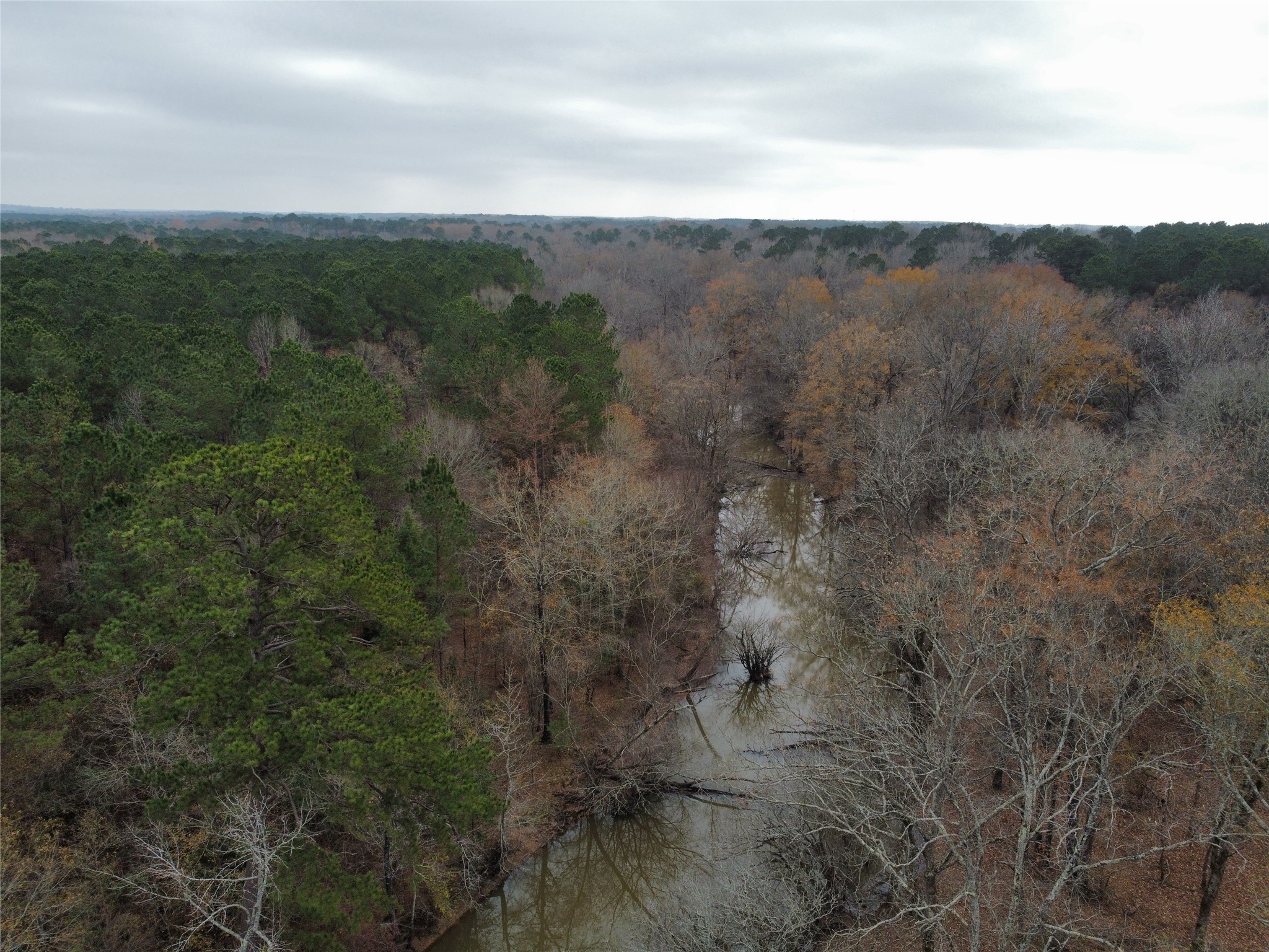 7525 East State Highway East Gilmer, TX 75645 - Photo 4 of 19 a view of a city with lush green forest