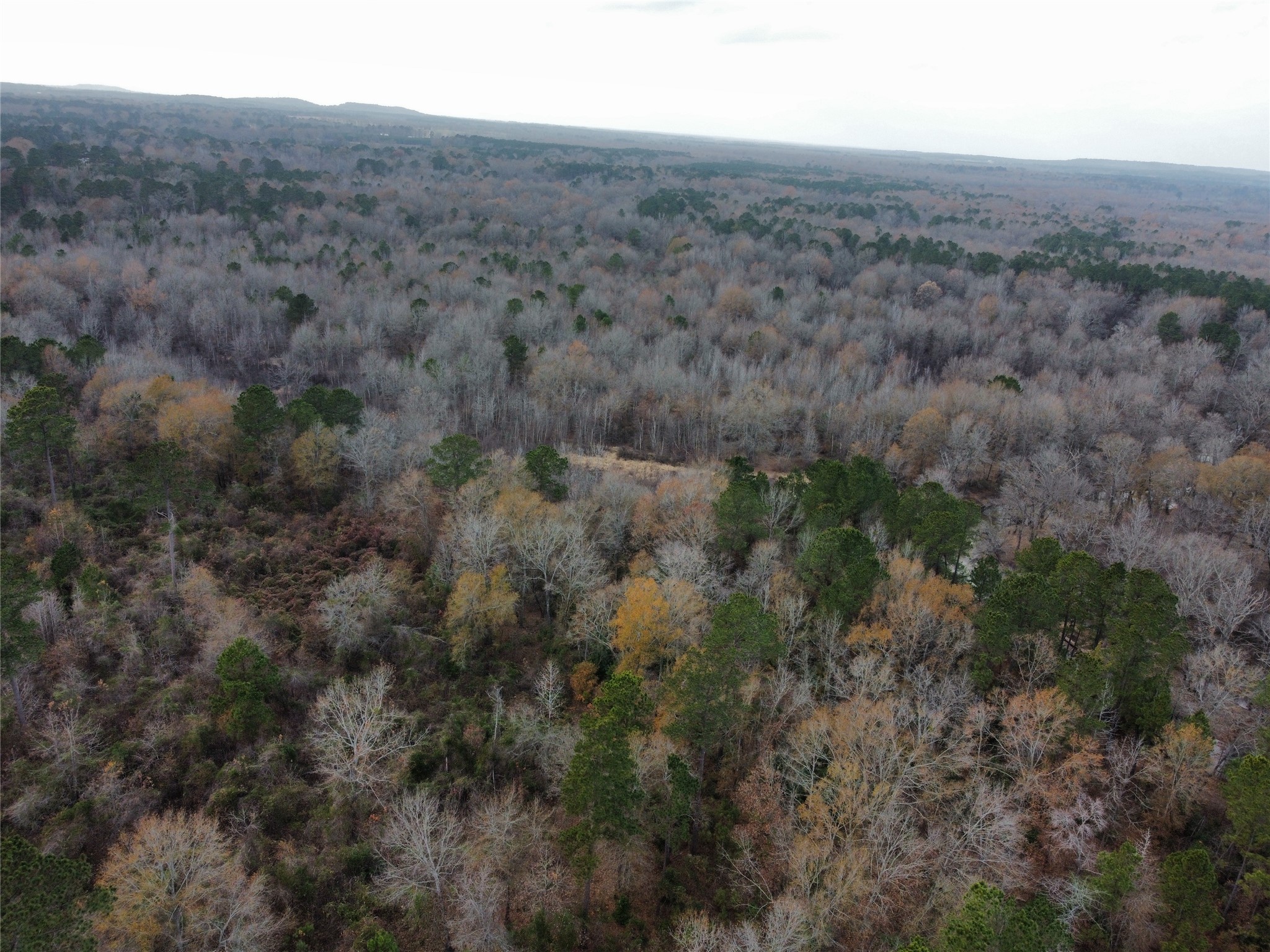 7525 East State Highway East Gilmer, TX 75645 - Photo 6 of 19 an aerial view of forest