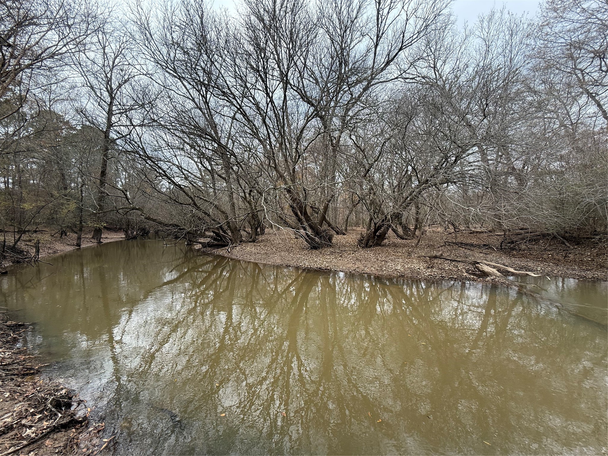 7525 East State Highway East Gilmer, TX 75645 - Photo 8 of 19 a view of a lake view