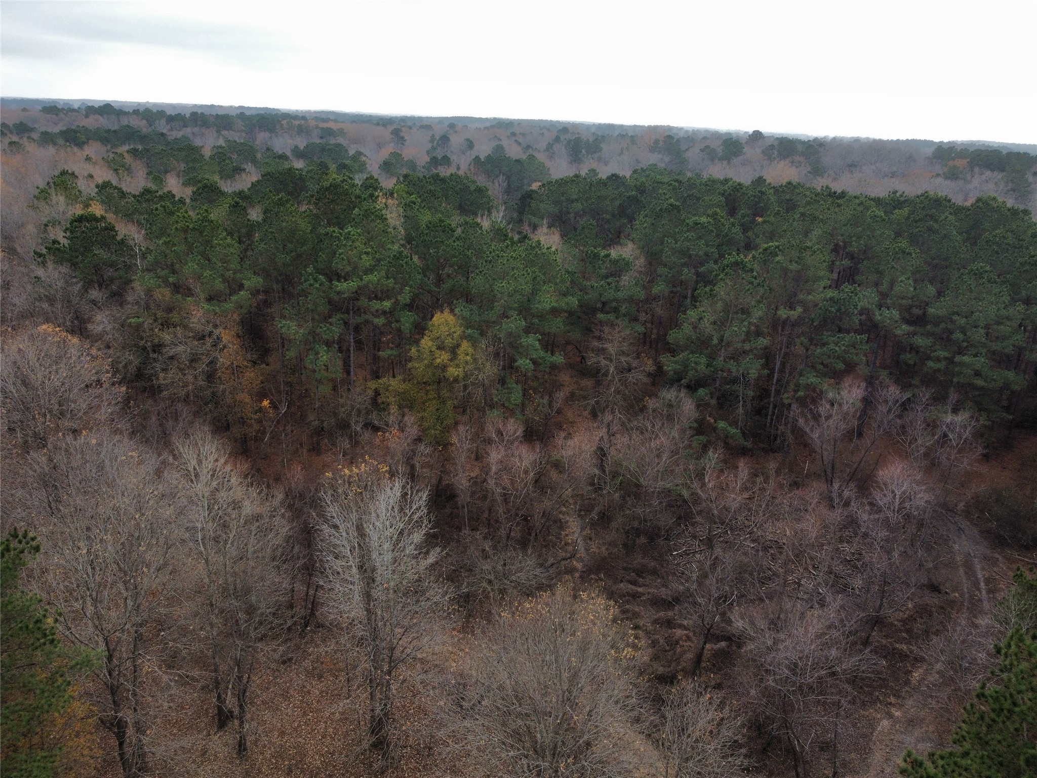 7525 East State Highway East Gilmer, TX 75645 - Photo 10 of 19 a view of a mountain in the distance