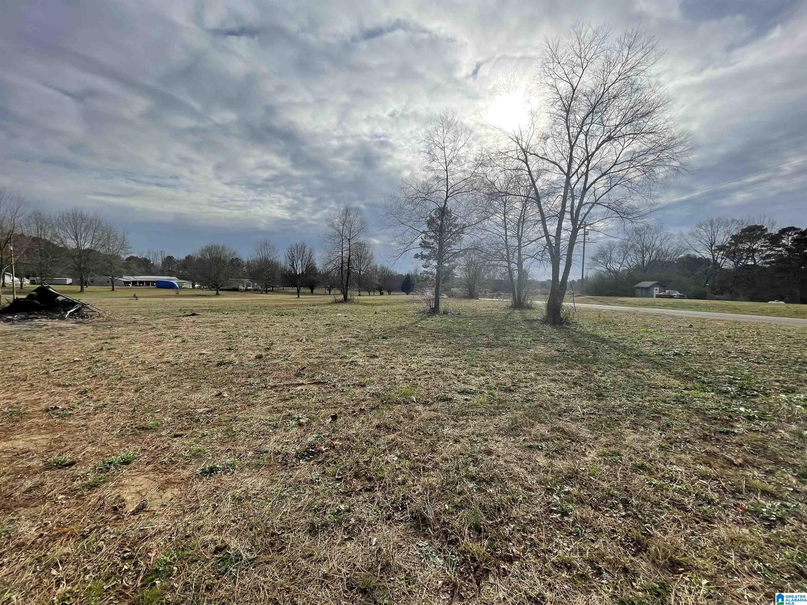 0 Old Eva Road Eva, AL 35621 - Photo 10 of 10