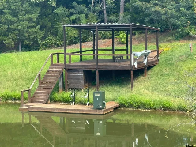 a view of backyard and tree