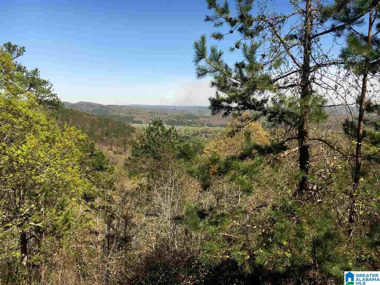 3417 Whites Gap Road Jacksonville, AL 36265 - Photo 33 of 49