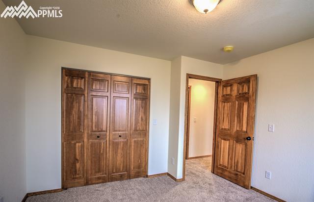 346 Pinewood Road Florissant, CO 80816 - Photo 20 of 27