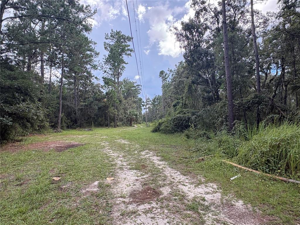 20327 Powell Road Brooksville, FL 34604 - Photo 12 of 18 Gallery Image 12