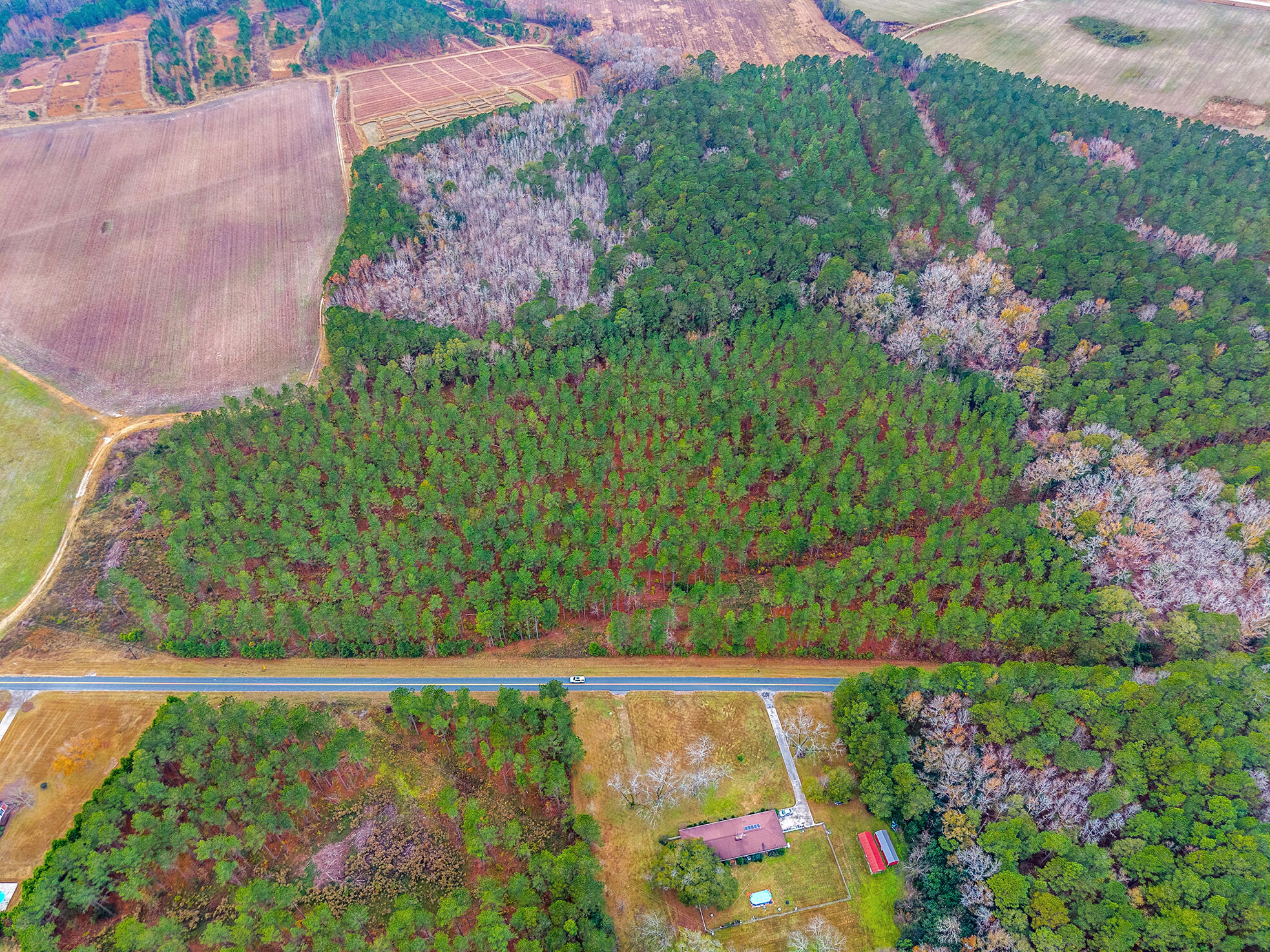 0 Shuler Belt Road Holly Hill, SC 29059 - Photo 18 of 25 00 Shuler Belt Rd
