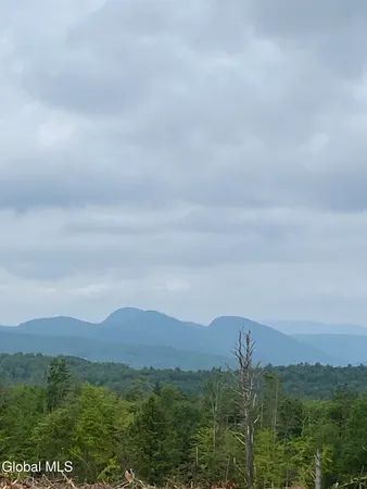 $145,000 | 356 Dickinson Hill Road, Bolton, NY 12824