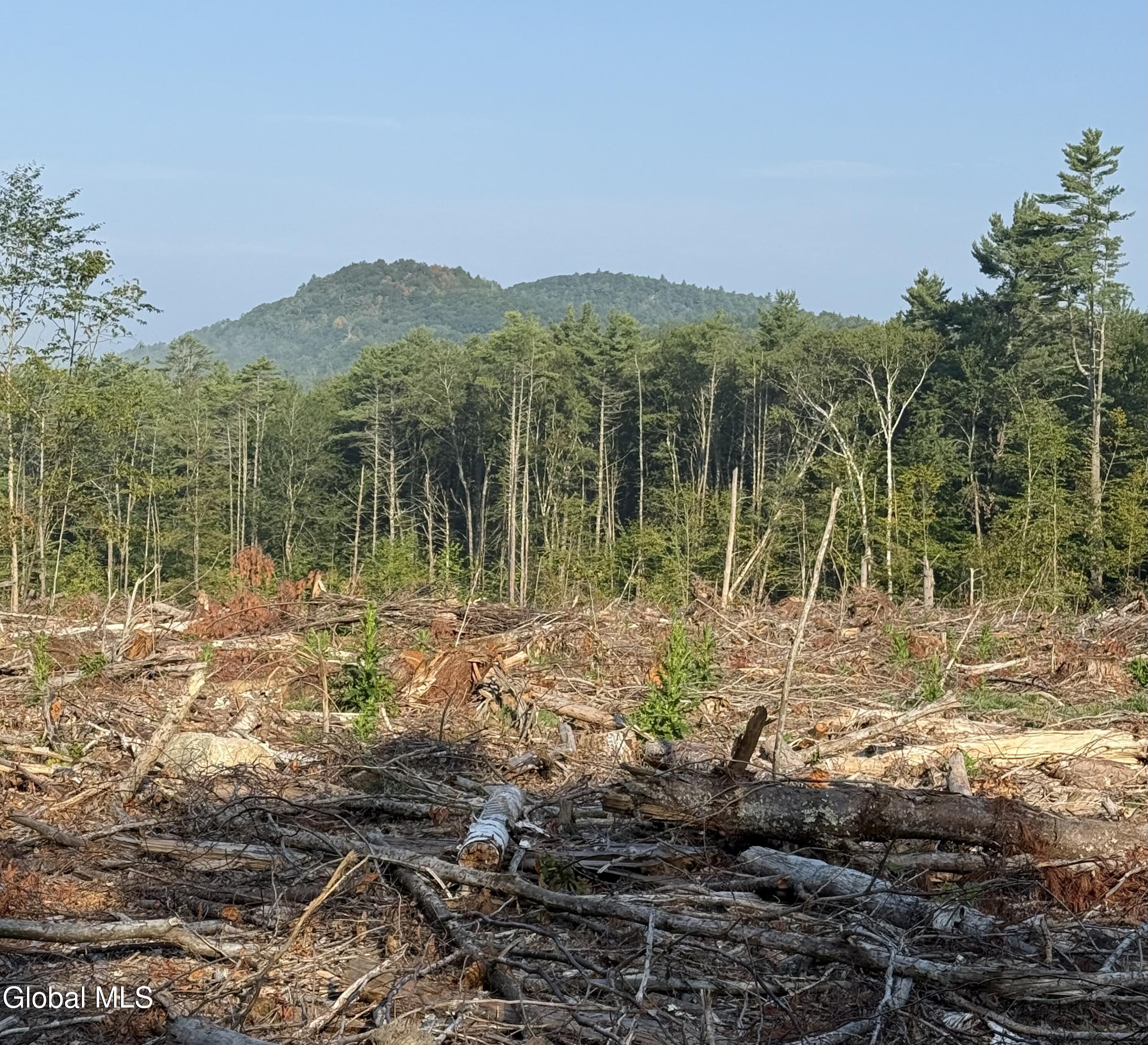 356 Dickinson Hill Road Bolton, NY 12824 - Photo 2 of 6 Lot 6 build site