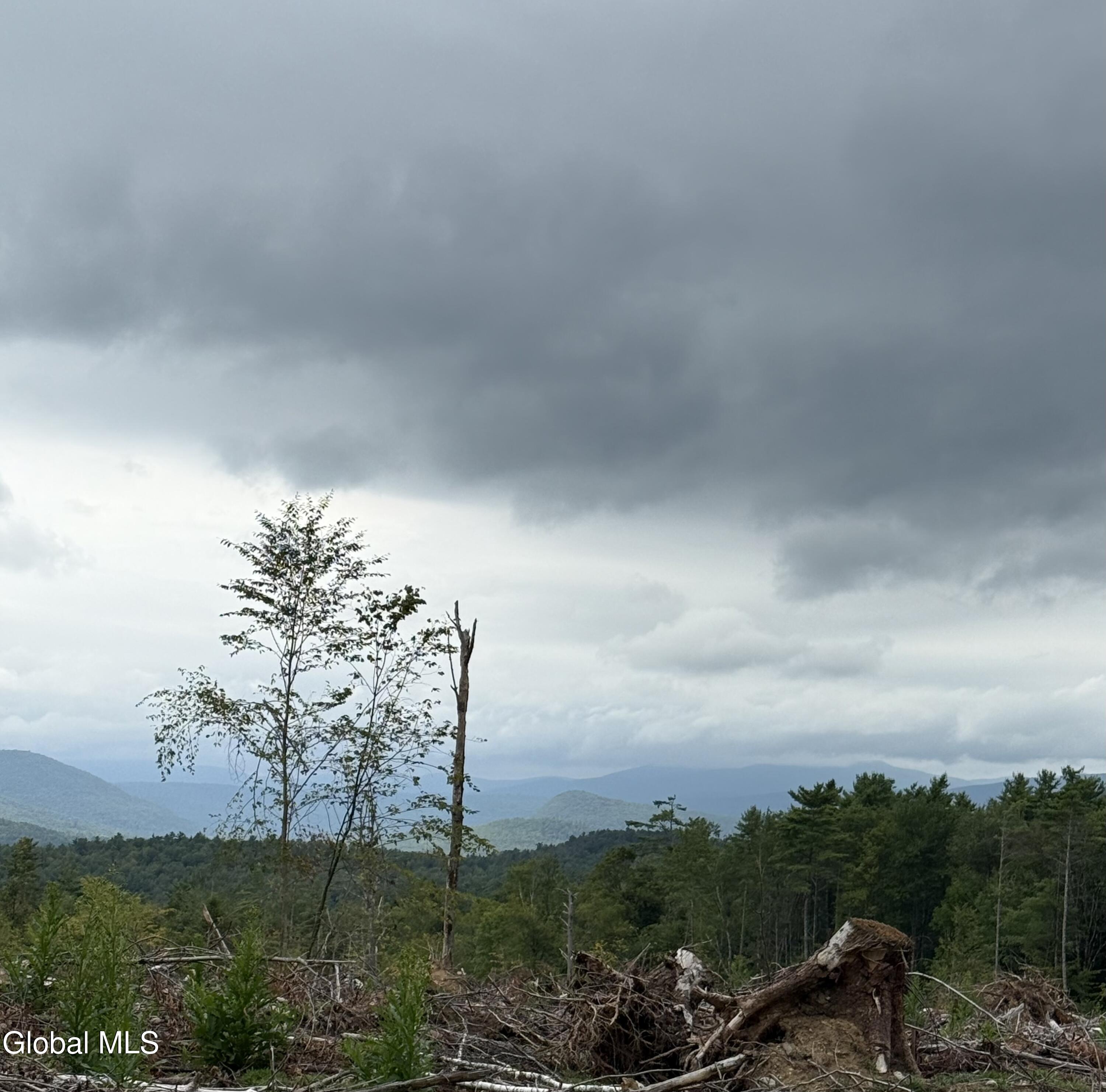 356 Dickinson Hill Road Bolton, NY 12824 - Photo 3 of 6 lot 6