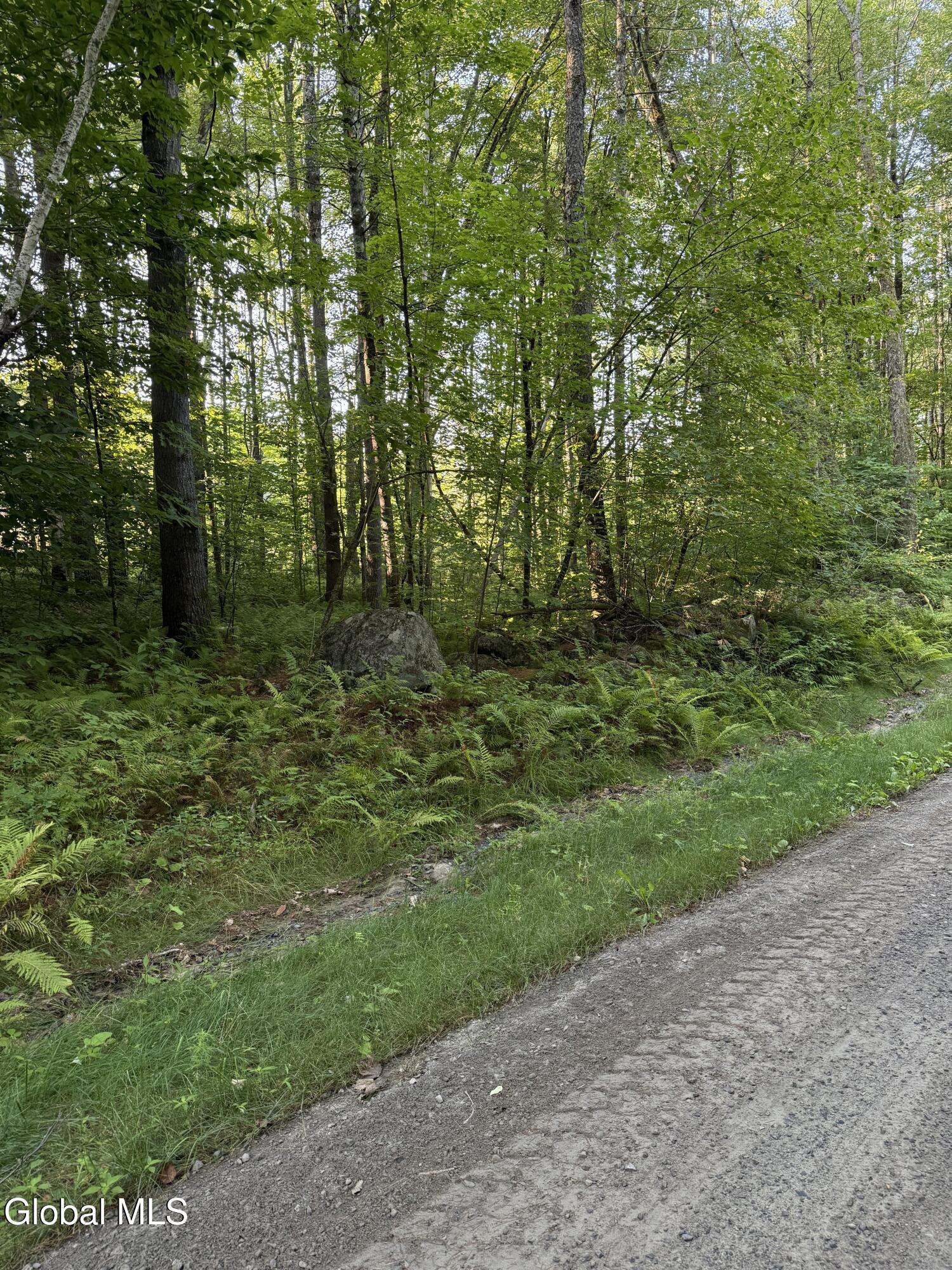 356 Dickinson Hill Road Bolton, NY 12824 - Photo 4 of 6 Lot 6 Road