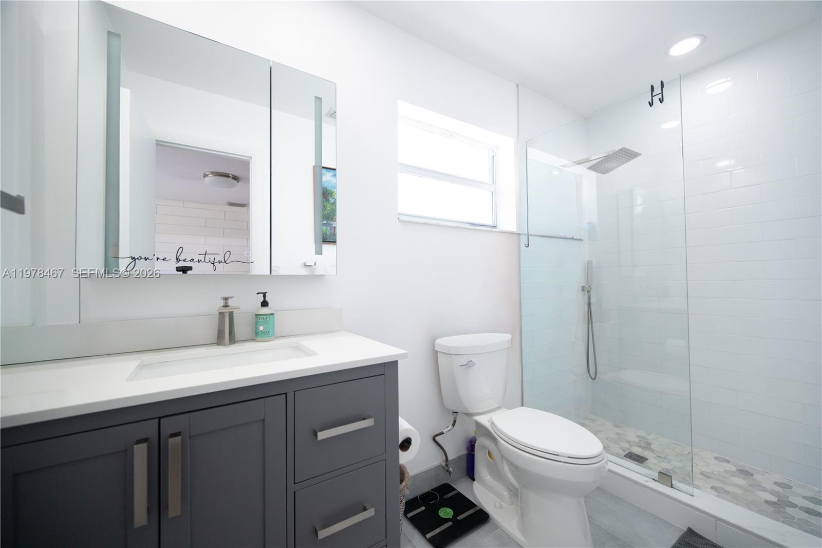 19431 Franjo Road Cutler Bay, FL 33157 - Photo 17 of 32 a bathroom with a sink a toilet a mirror and vanity