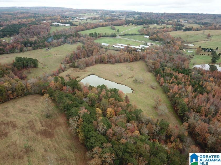 1241 Reneau Road Oneonta, AL 35121 - Photo 13 of 50