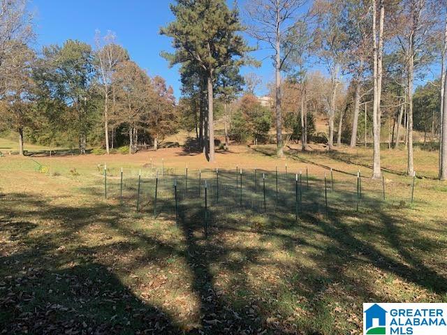 9376 Old Toadvine Road Bessemer, AL 35023 - Photo 37 of 45