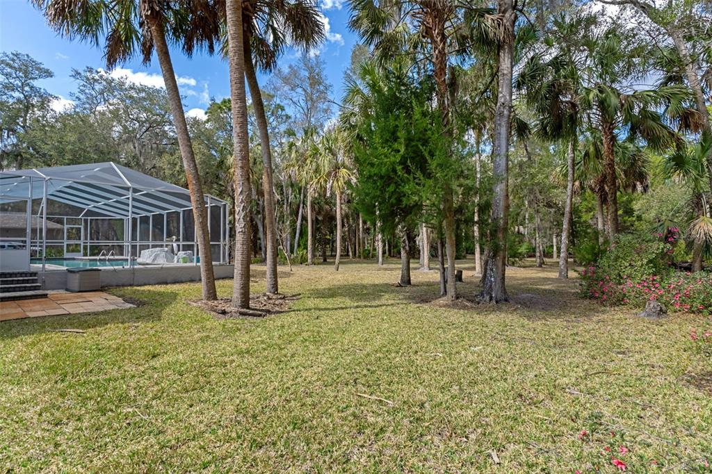 35 Captains Cove Road Inglis, FL 34449 - Photo 60 of 70