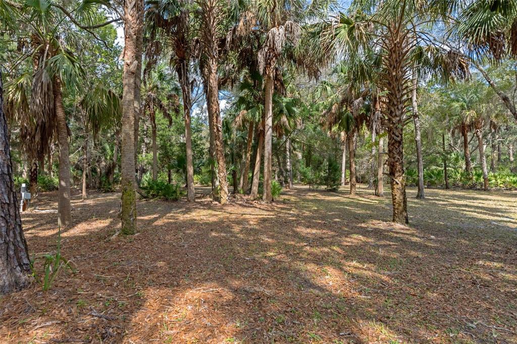 35 Captains Cove Road Inglis, FL 34449 - Photo 63 of 70