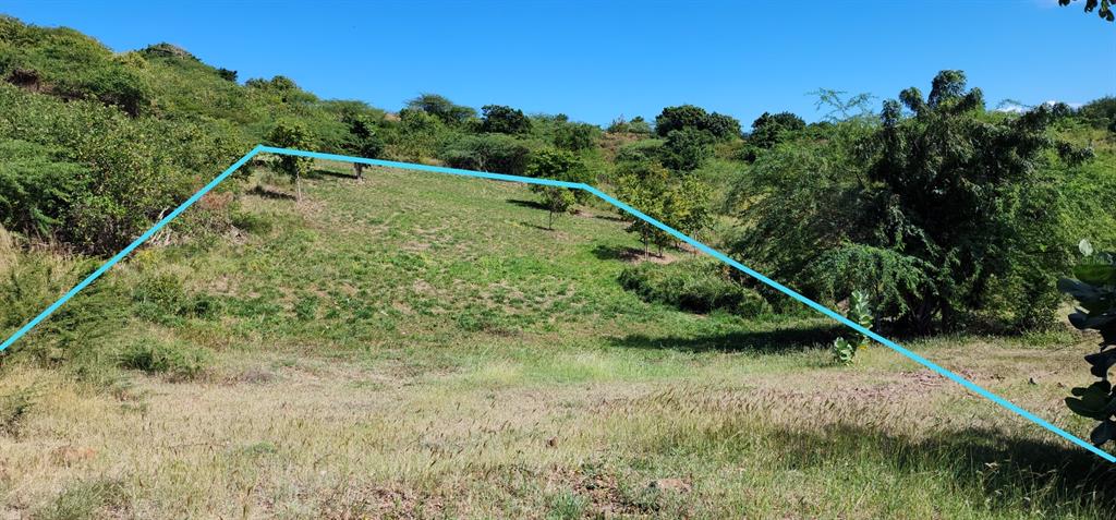 Undisclosed Address Houston, DE 19954 - Photo 4 of 5