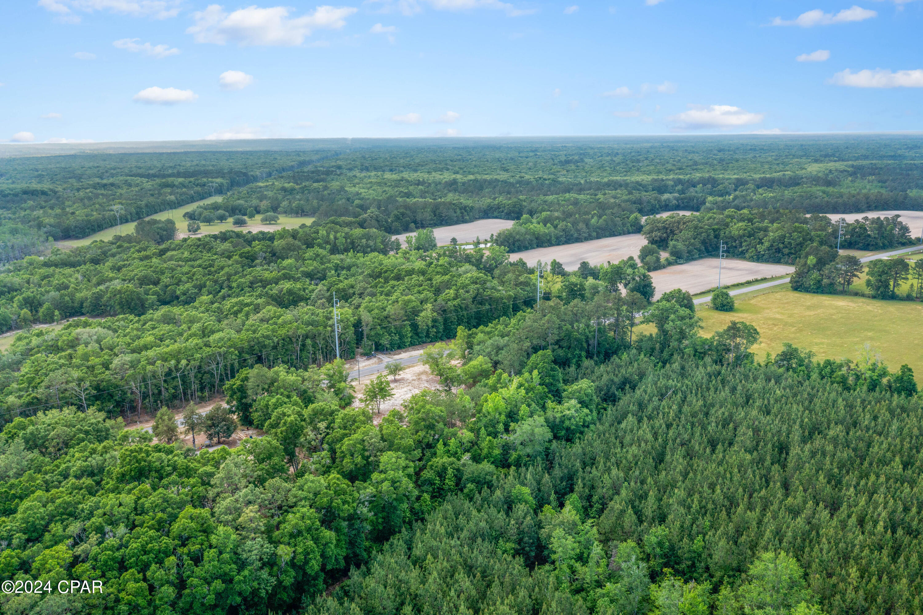 3513 River Road Vernon, FL 32462 - Photo 11 of 19