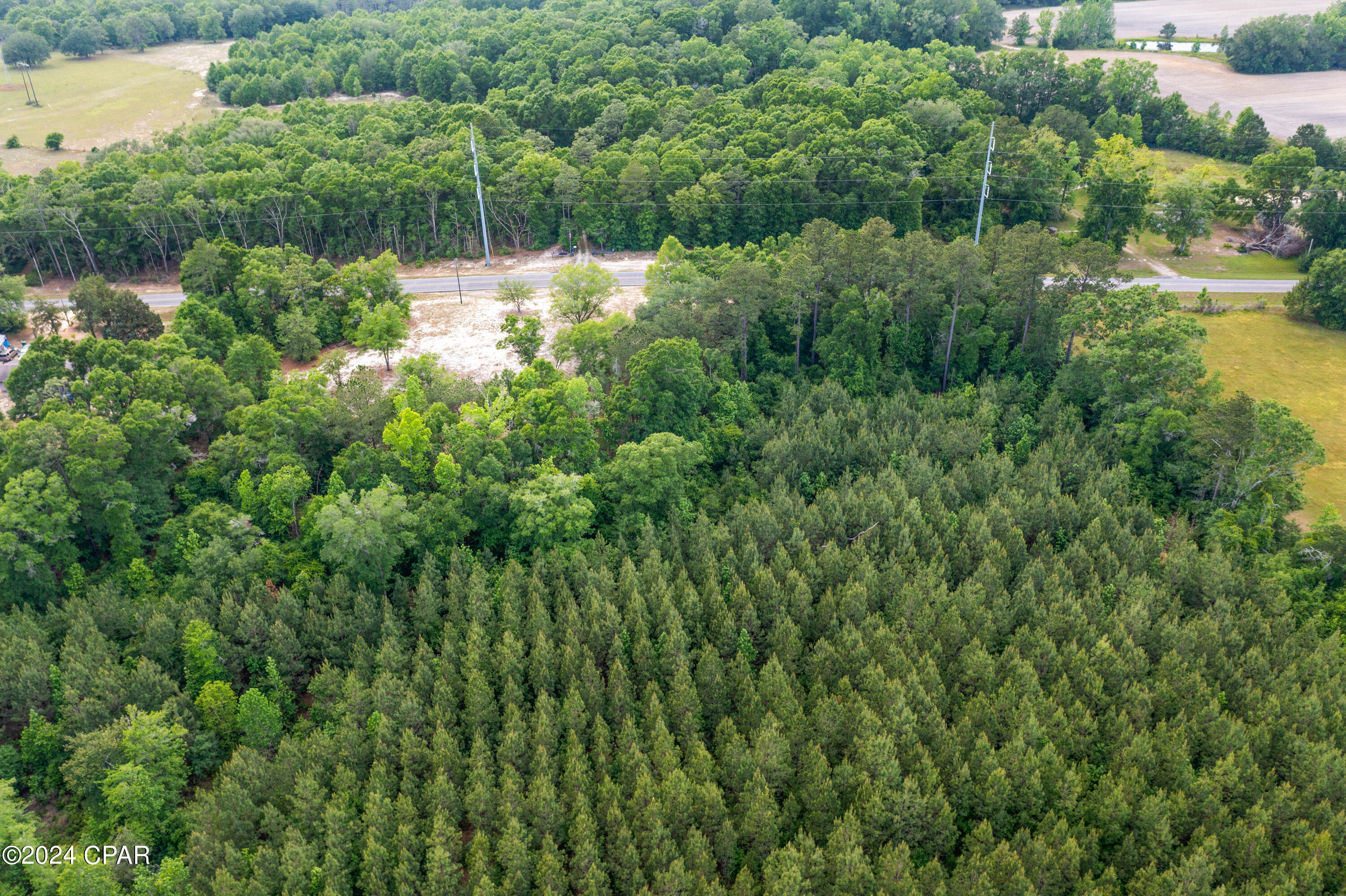 3513 River Road Vernon, FL 32462 - Photo 12 of 19