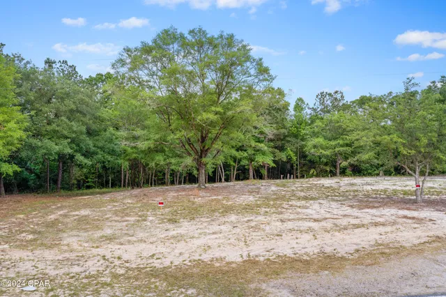 $69,000 | 3513 River Road, Vernon, FL 32462