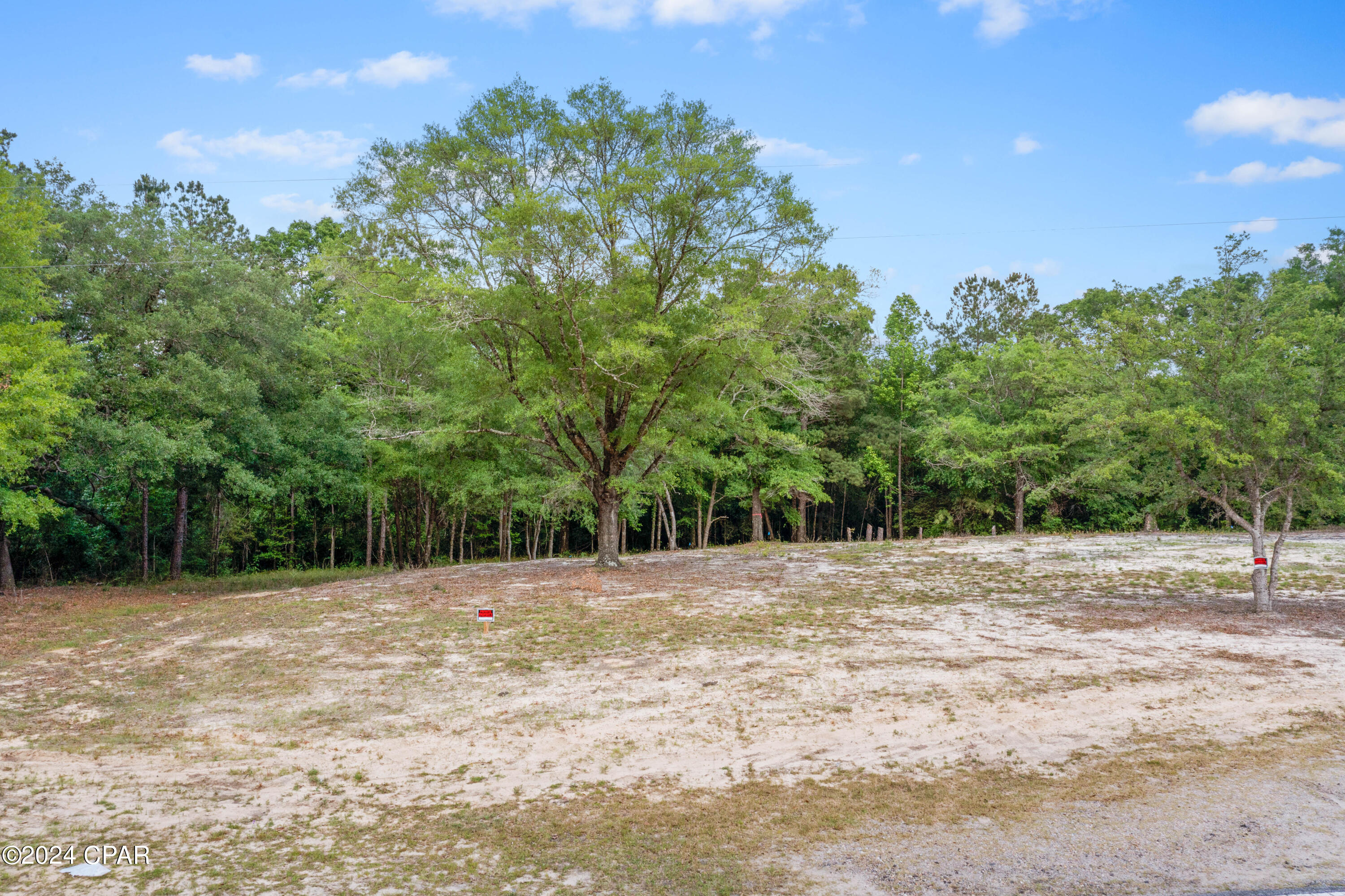 3513 River Road Vernon, FL 32462 - Photo 5 of 19