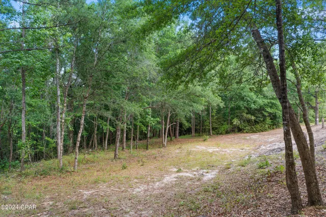 $69,000 | 3513 River Road, Vernon, FL 32462