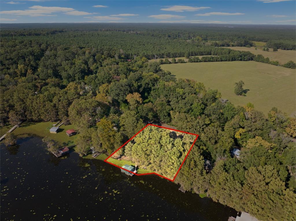 229 County Road Jefferson, TX 75657 - Photo 2 of 40 a view of a lake