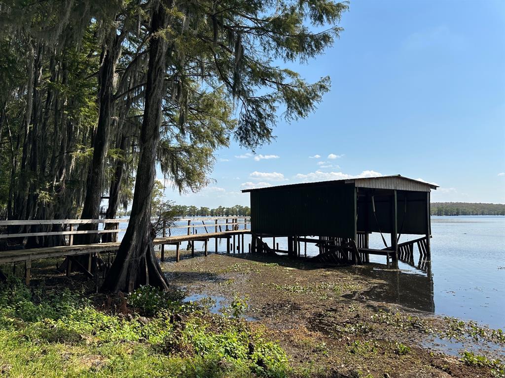 229 County Road Jefferson, TX 75657 - Photo 30 of 40 a view of a yard with large trees