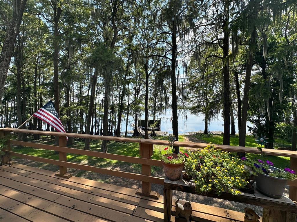 229 County Road Jefferson, TX 75657 - Photo 31 of 40 a view of a park with large trees