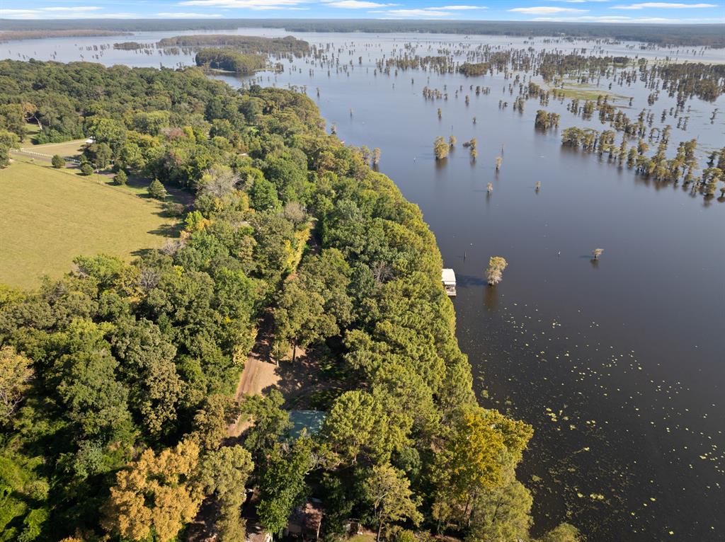 229 County Road Jefferson, TX 75657 - Photo 37 of 40 a aerial view of a house