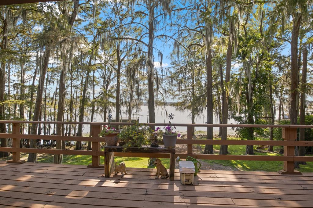 229 County Road Jefferson, TX 75657 - Photo 39 of 40 a view of a street with houses