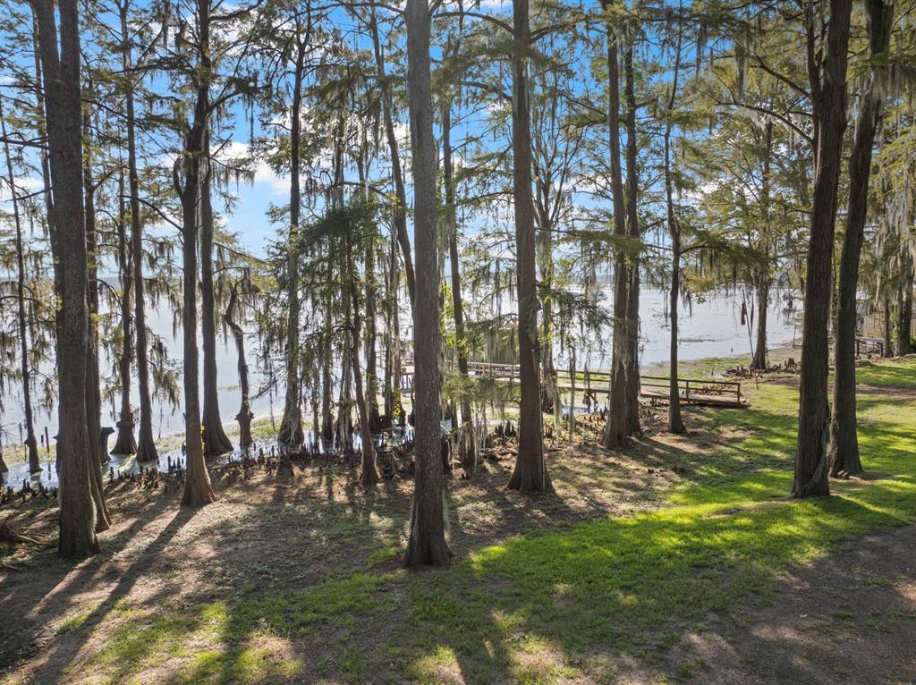 229 County Road Jefferson, TX 75657 - Photo 40 of 40 a view of outdoor space with lots of trees