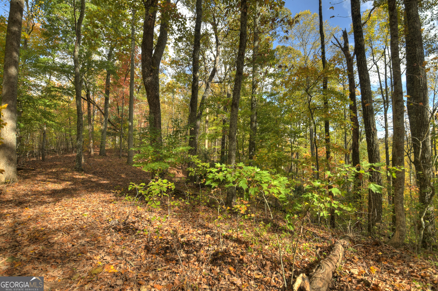 23-AC Weaver Creek Road Blue Ridge, GA 30513 - Photo 7 of 25 Gallery Image 7