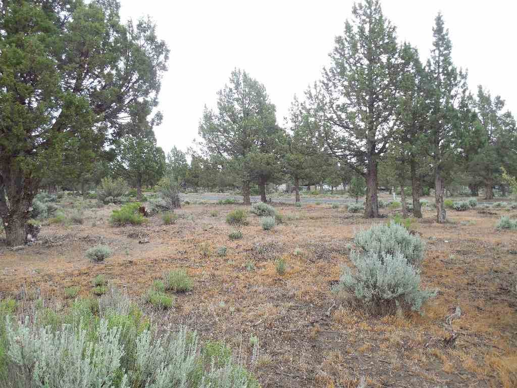 8-2 Unt Road Weed, CA 96094 - Photo 17 of 17 Gallery Image 17