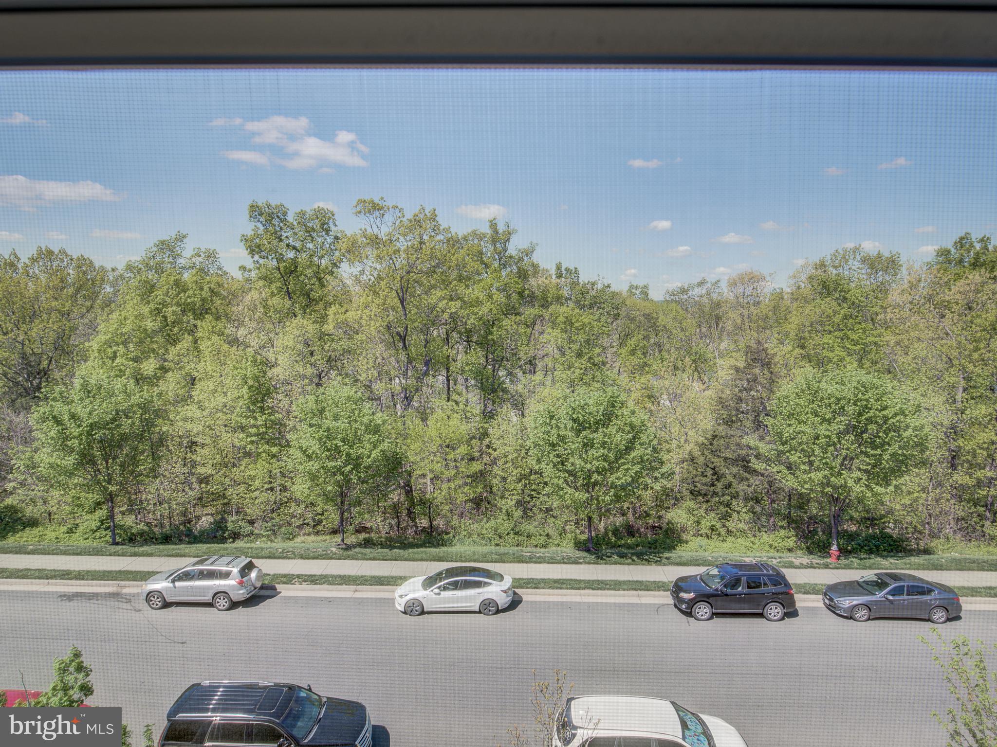 25894 Racing Sun Drive Aldie, VA 20105 - Photo 49 of 51 View from the living room!