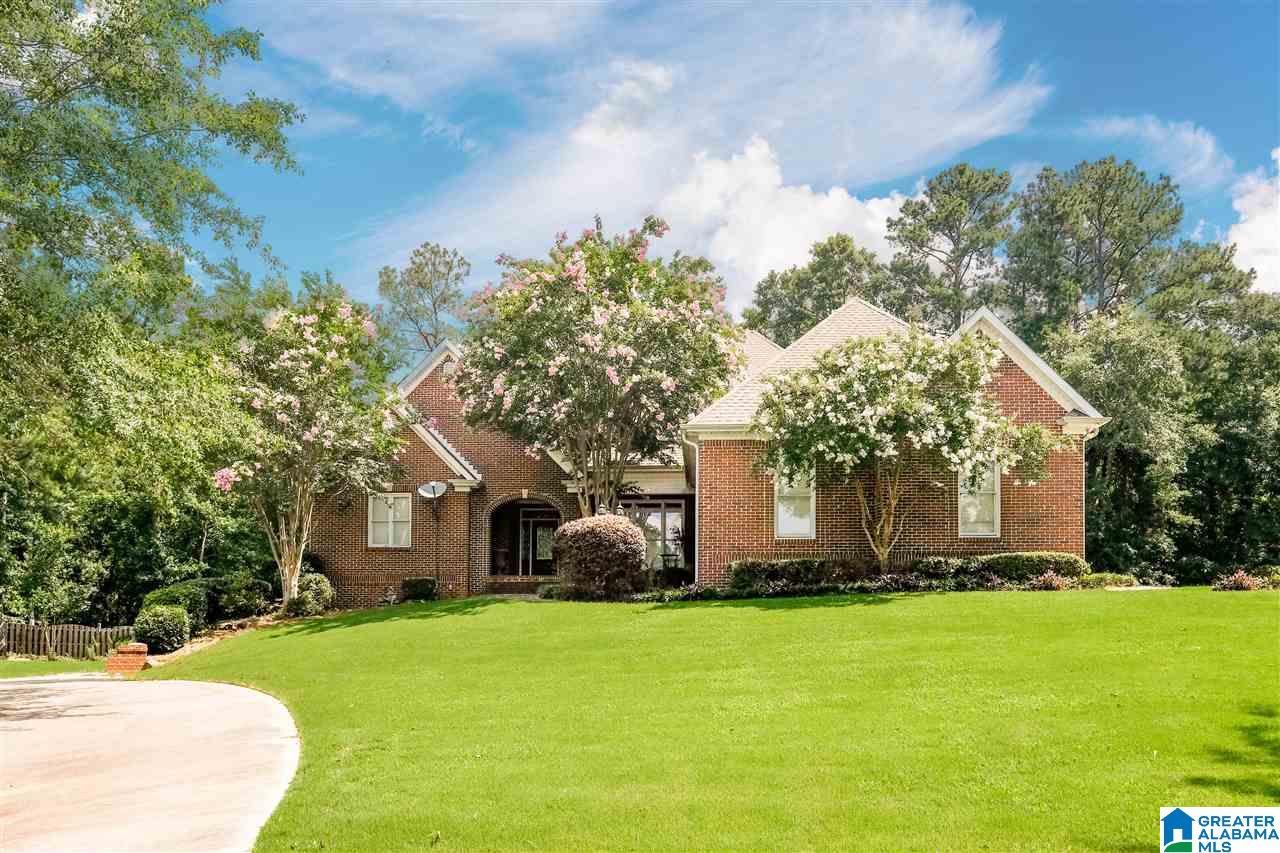 101 Shore Front Lane Wilsonville, AL 35186 - Photo 3 of 49