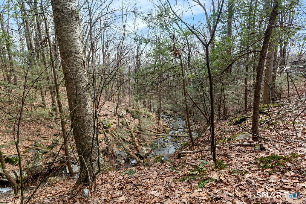 8 Chimney Hill Road Sherman, CT 06784 - Photo 3 of 12