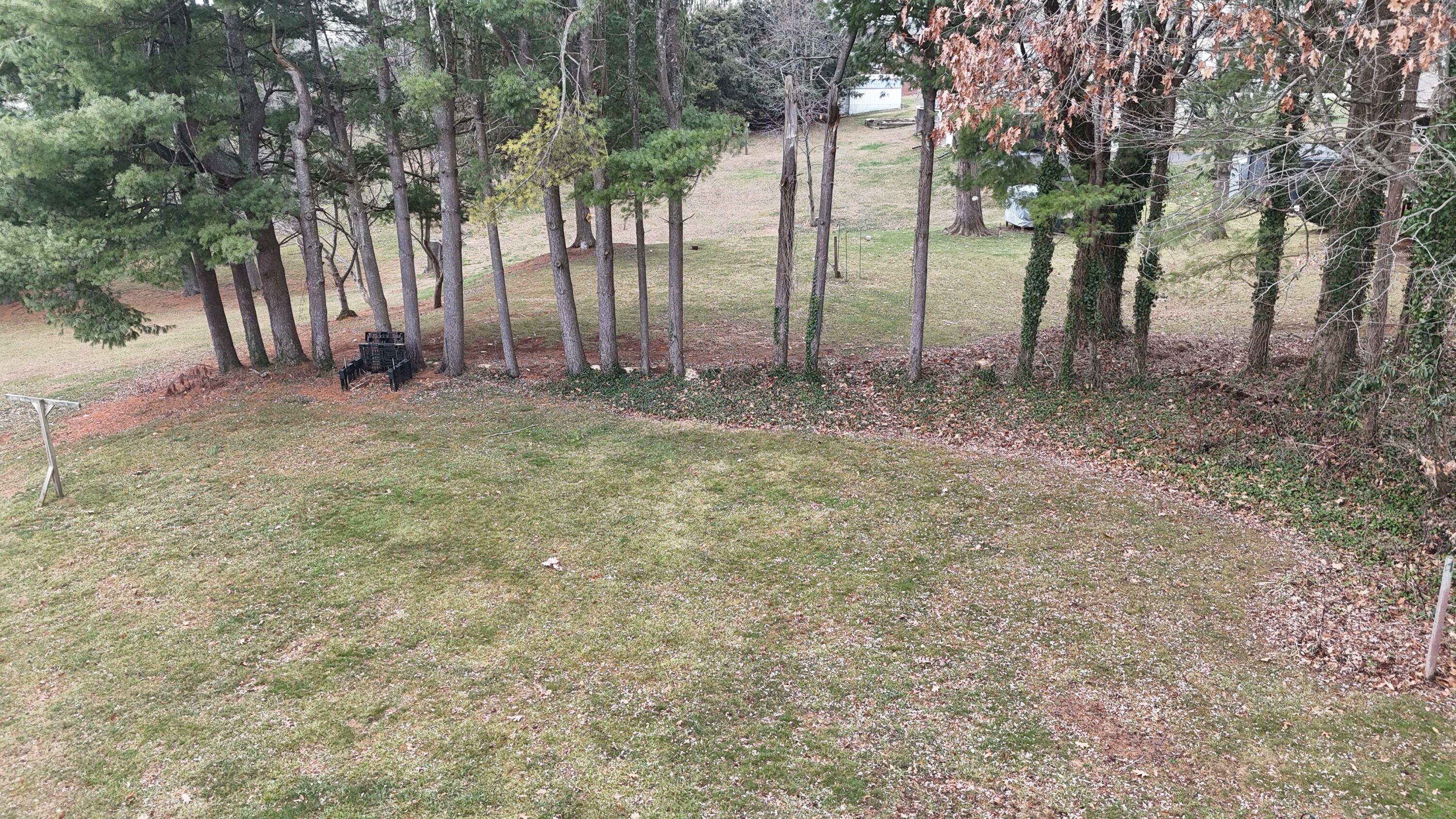 448 Baughman Avenue Marion, VA 24354 - Photo 12 of 43 a view of outdoor space with trees