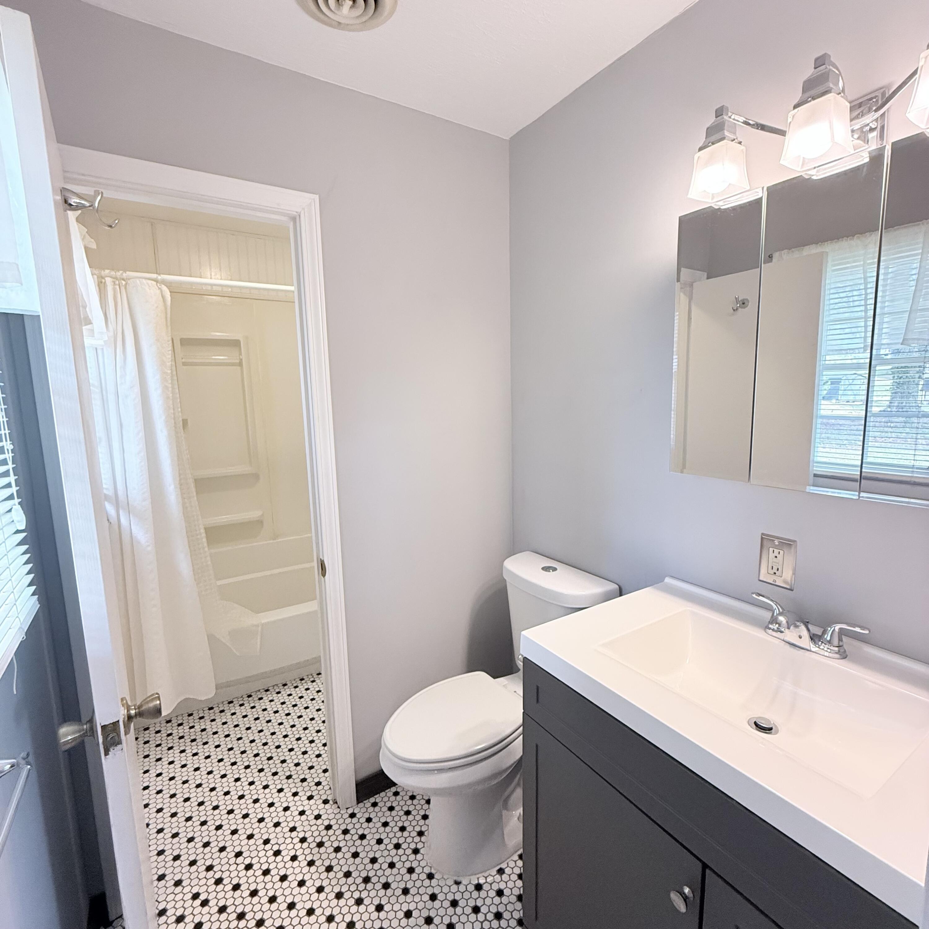 448 Baughman Avenue Marion, VA 24354 - Photo 27 of 43 a bathroom with a sink a toilet a mirror and shower