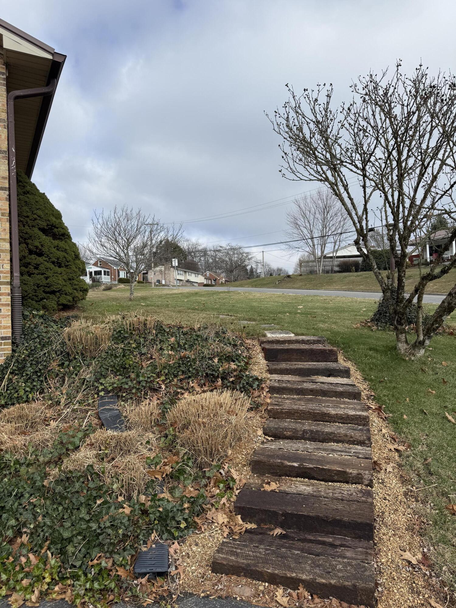 448 Baughman Avenue Marion, VA 24354 - Photo 7 of 43 a view of a yard with an outdoor space