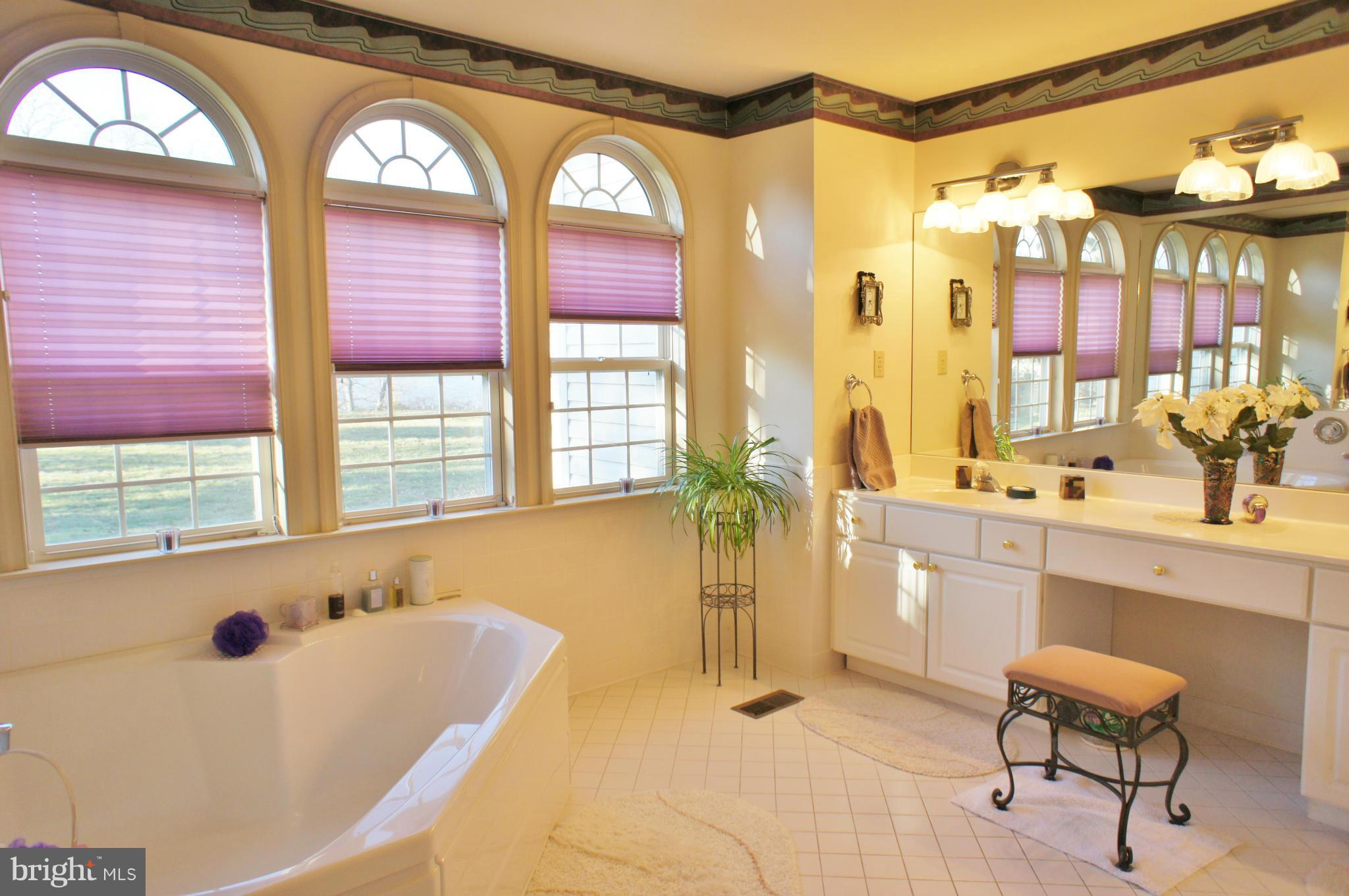 5971 Ketch Road Prince Frederick, MD 20678 - Photo 16 of 30 a spacious bathroom with a tub a sink and a large mirror