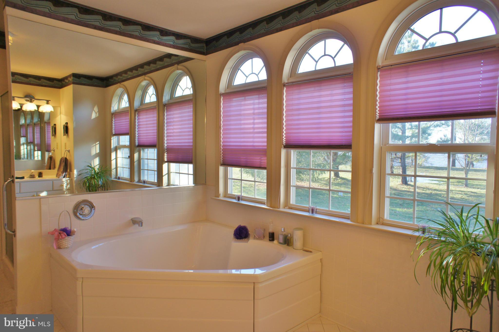 5971 Ketch Road Prince Frederick, MD 20678 - Photo 17 of 30 a bath tub sitting in front of a window