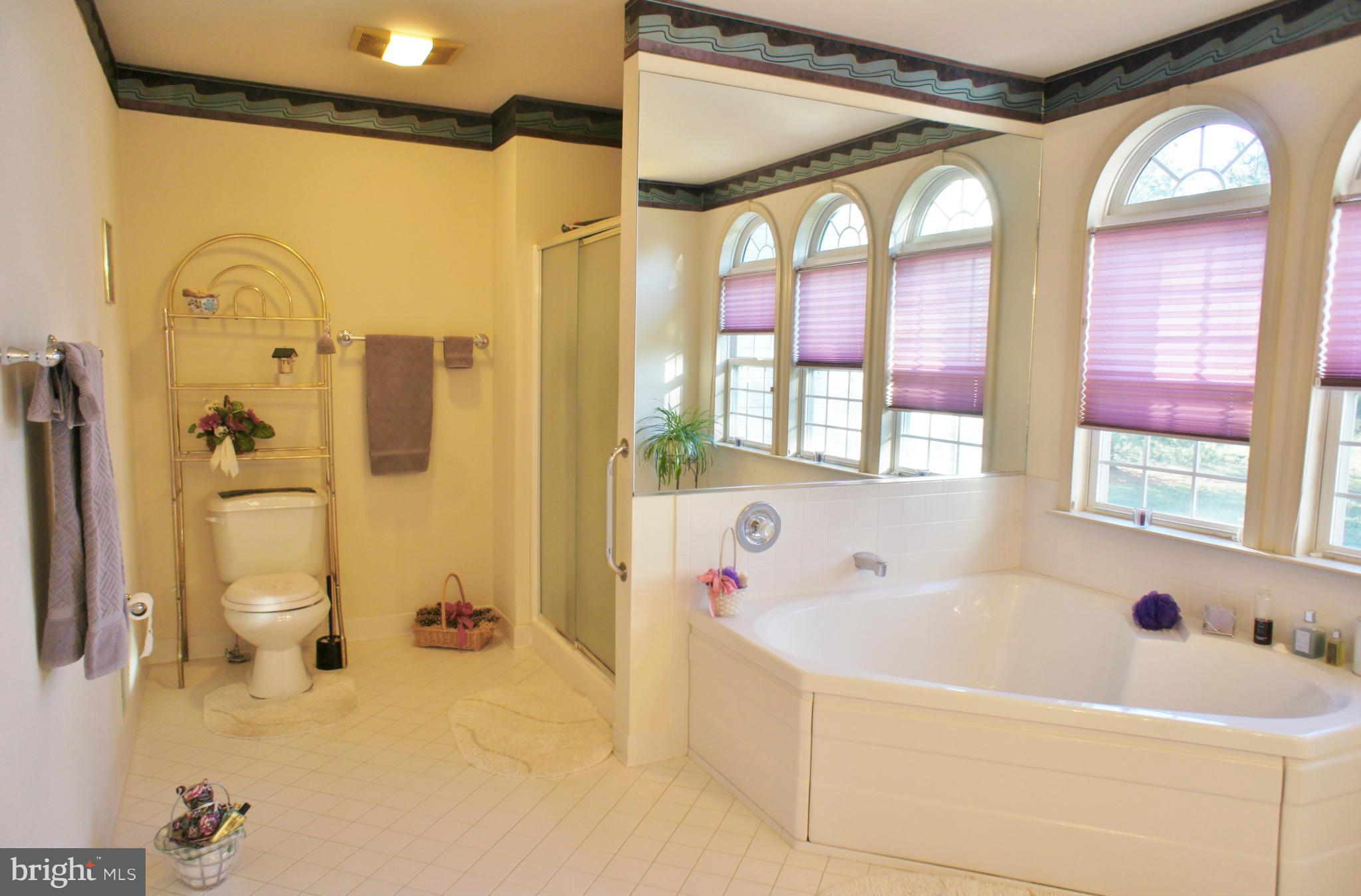 5971 Ketch Road Prince Frederick, MD 20678 - Photo 18 of 30 a bathroom with a bathtub a sink and a shower