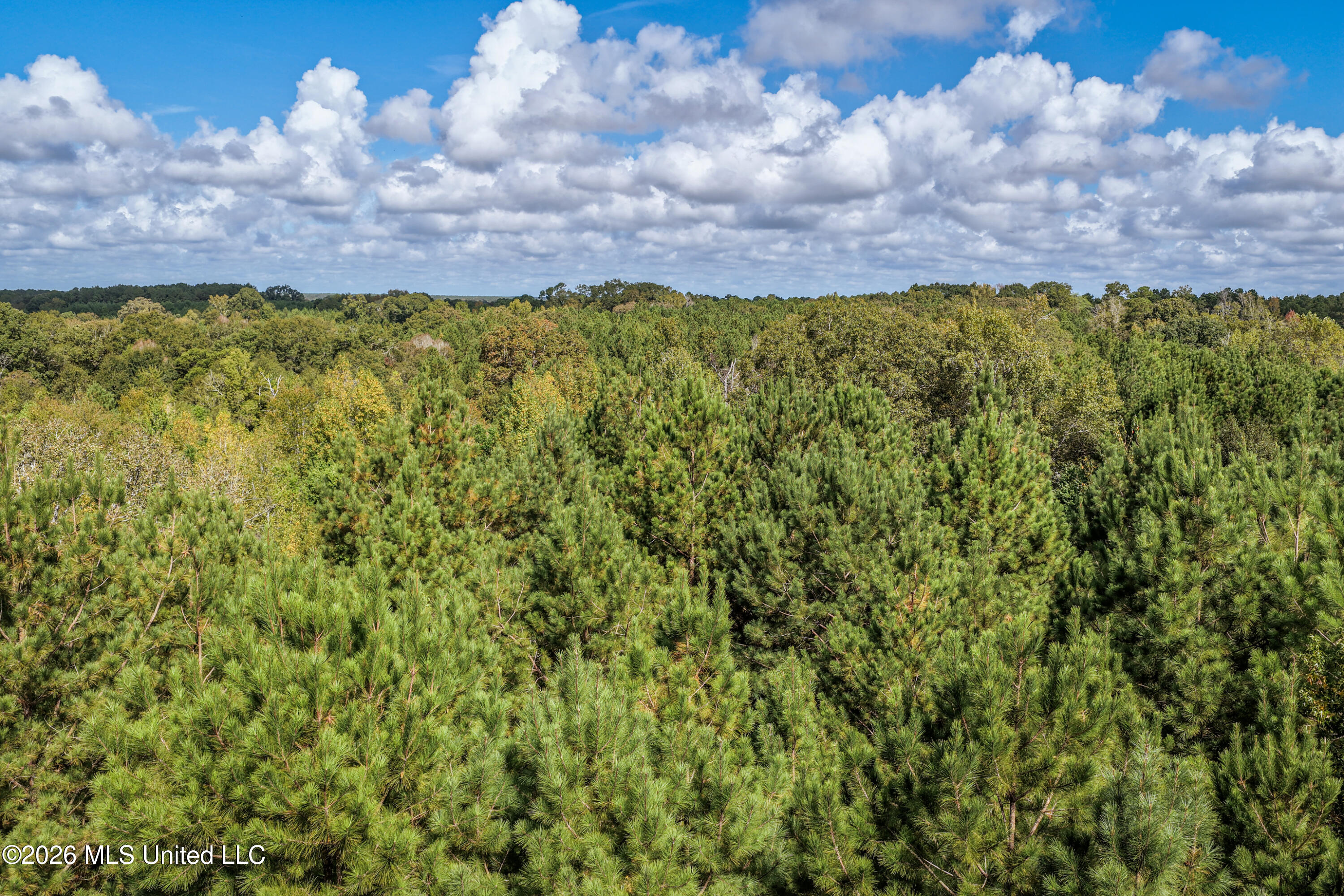 Allen Lane Magnolia, MS 39652 - Photo 7 of 21 DJI_20261002105311_0150_D